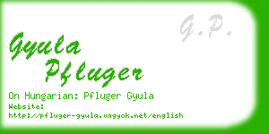 gyula pfluger business card
